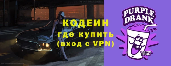прущий лед Алзамай