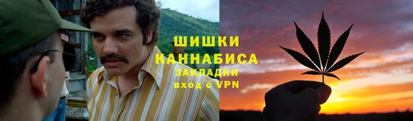 прущий лед Алзамай