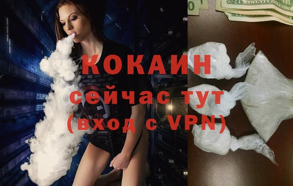 прущий лед Алзамай