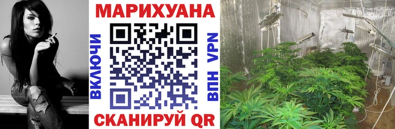 Каннабис семена  мориарти Telegram  Грязовец 
